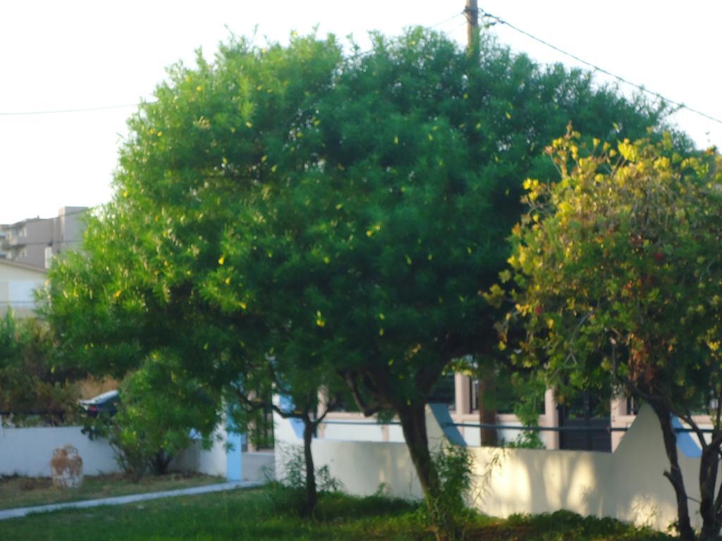 Eleni'S Apartments Афанту Номер фото